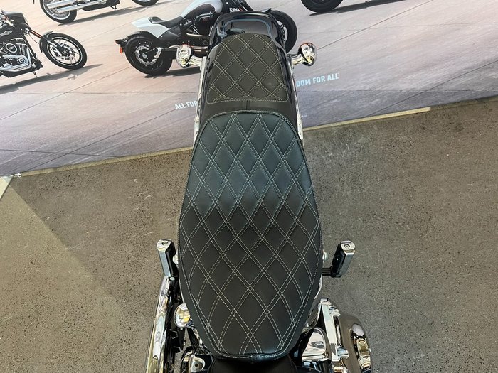 2009 HARLEY-DAVIDSON FXSTC SOFTAIL CUSTOM