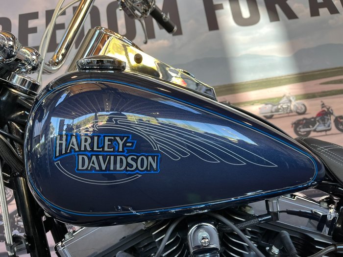 2009 HARLEY-DAVIDSON FXSTC SOFTAIL CUSTOM