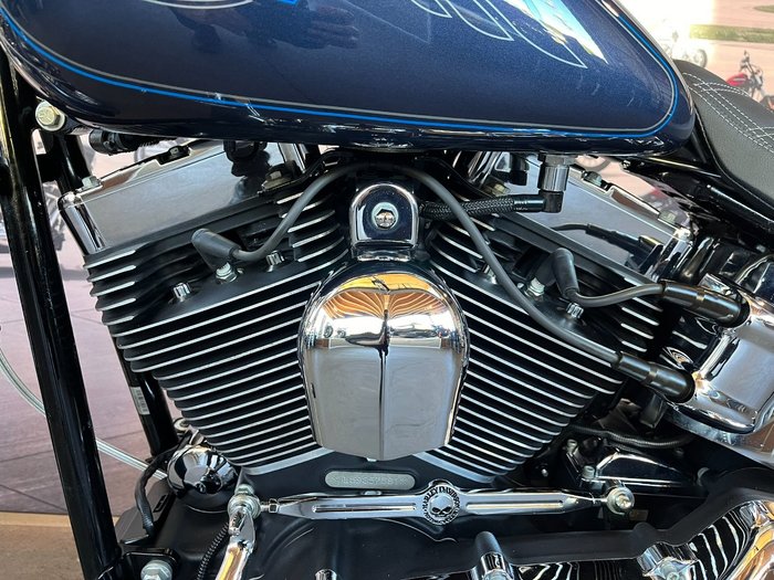2009 HARLEY-DAVIDSON FXSTC SOFTAIL CUSTOM