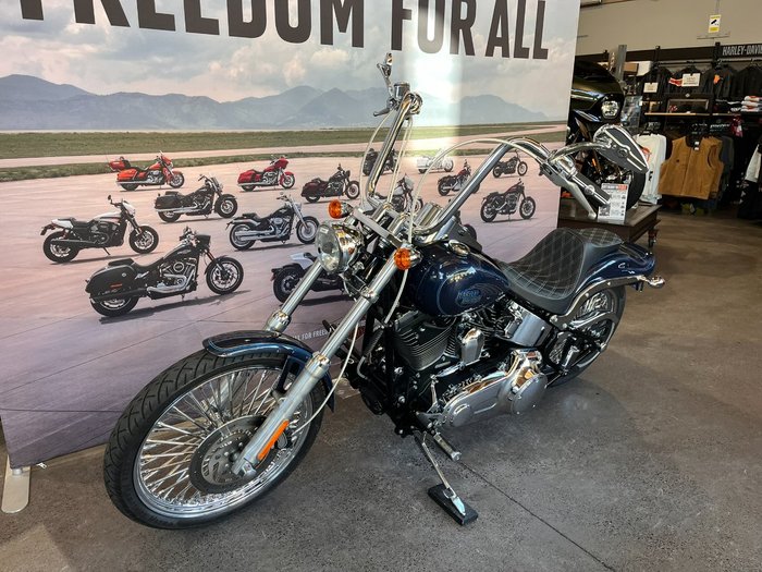 2009 HARLEY-DAVIDSON FXSTC SOFTAIL CUSTOM