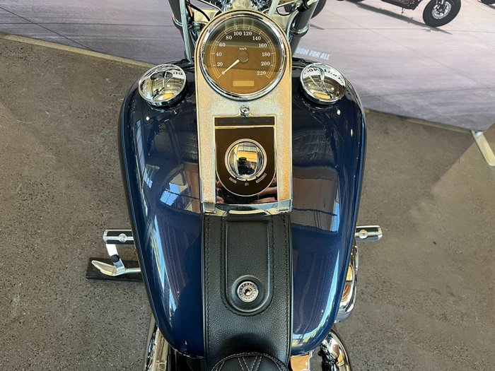 2009 HARLEY-DAVIDSON FXSTC SOFTAIL CUSTOM