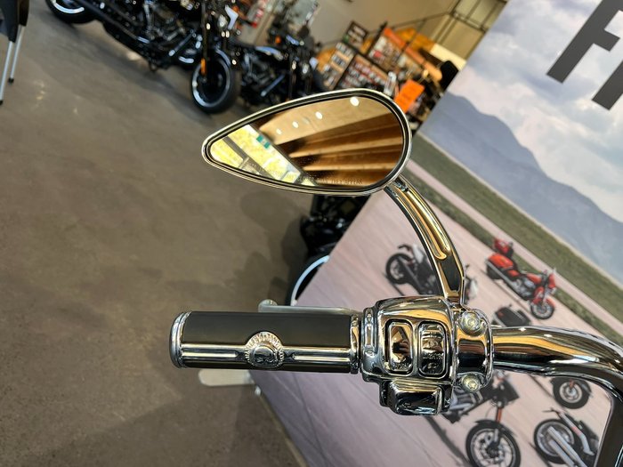 2009 HARLEY-DAVIDSON FXSTC SOFTAIL CUSTOM