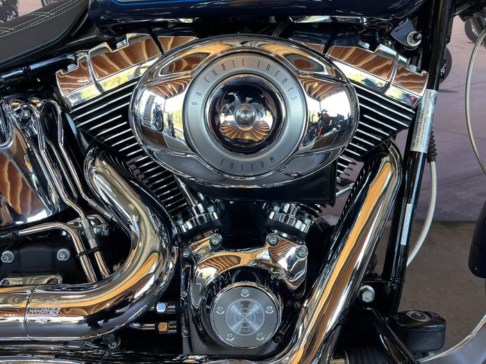 2009 HARLEY-DAVIDSON FXSTC SOFTAIL CUSTOM