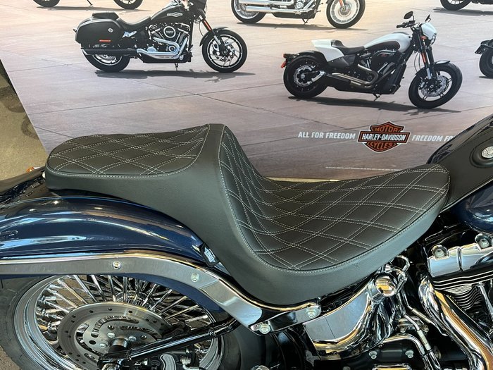 2009 HARLEY-DAVIDSON FXSTC SOFTAIL CUSTOM
