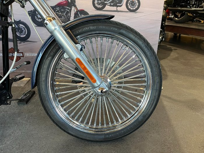 2009 HARLEY-DAVIDSON FXSTC SOFTAIL CUSTOM
