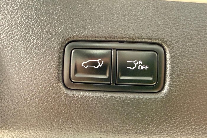 2023 Kia Carnival Special Edition