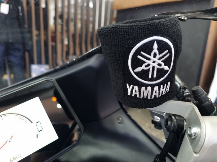 2024 YAMAHA XSR900GP (MTM890ASP) Grey