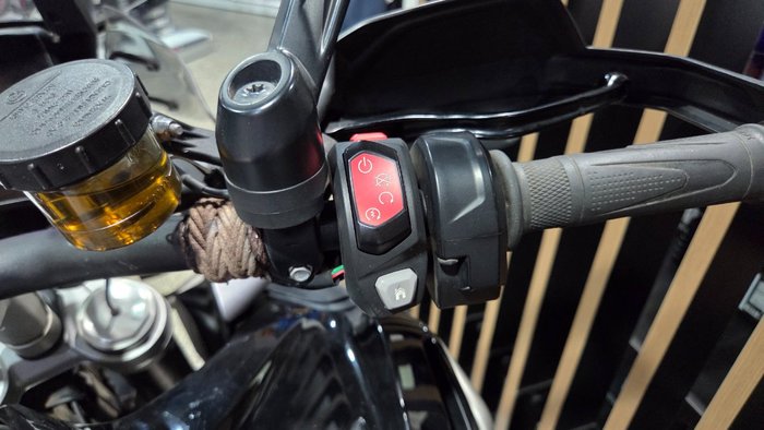 2024 Triumph TIGER 1200 GT EXPLORER Black