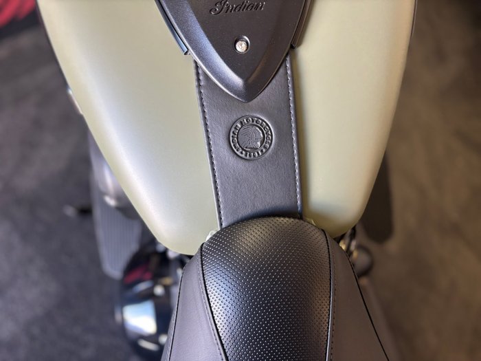 2025 Indian SPRINGFIELD DARK HORSE Green
