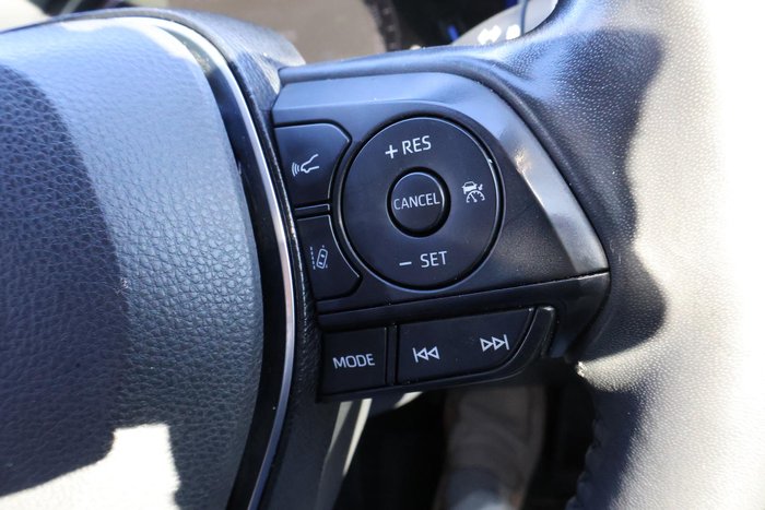 2020 Toyota RAV4 Cruiser
