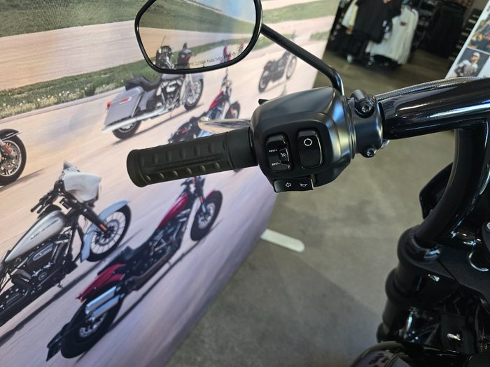 2025 HARLEY-DAVIDSON FXLRS LOW RIDER S (117)