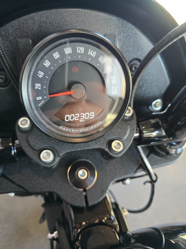 2025 HARLEY-DAVIDSON FXLRS LOW RIDER S (117)