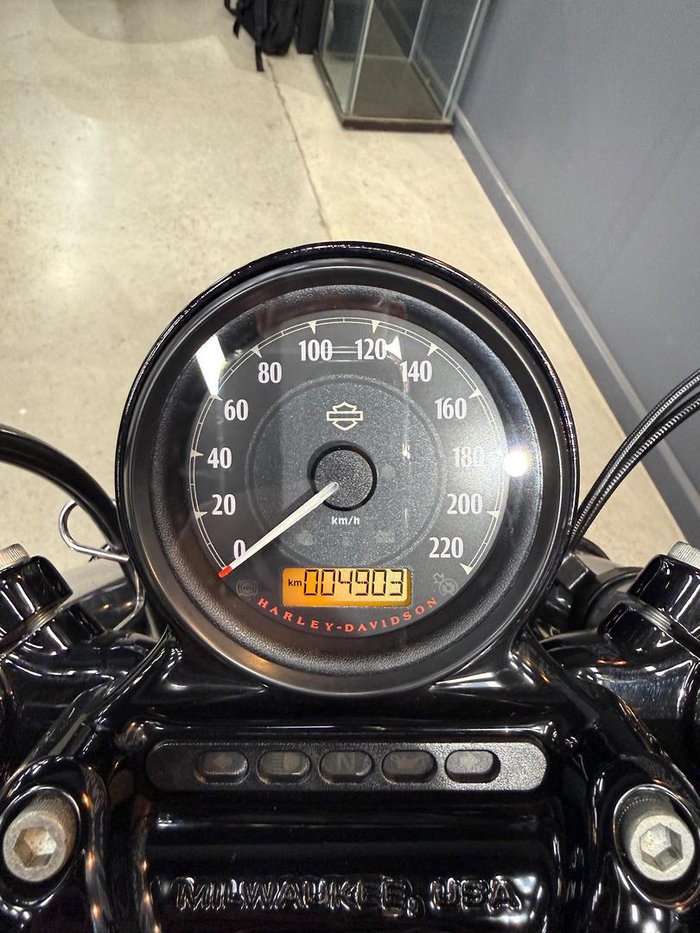 2019 Harley-Davidson Forty-Eight Special (XL1200XS) Sportster Red