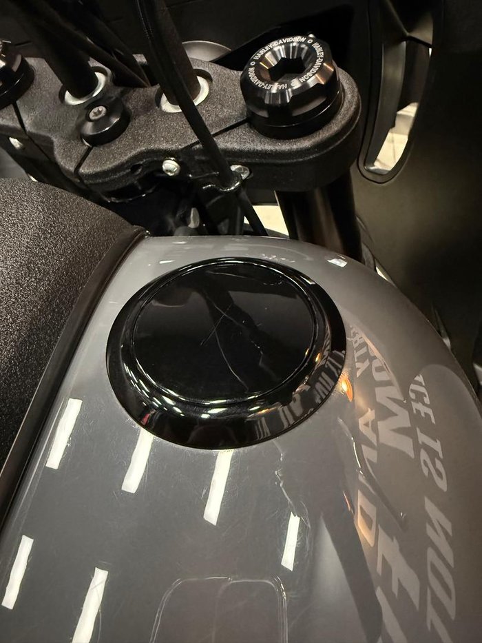 2022 Harley-Davidson Low Rider ST 117 (FXLRST) Softail