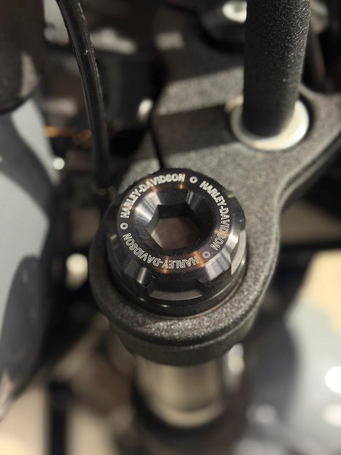 2022 Harley-Davidson Low Rider ST 117 (FXLRST) Softail