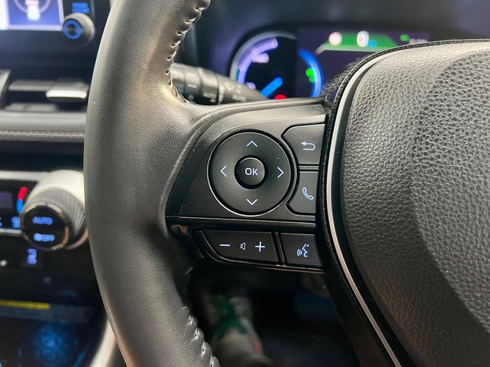 2020 Toyota RAV4 Cruiser
