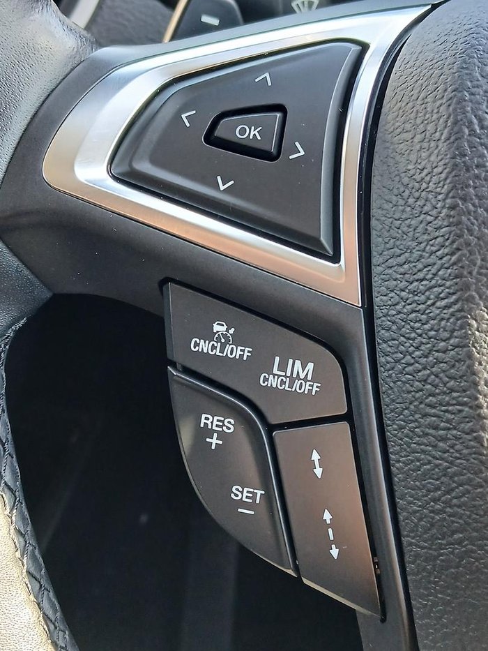 2019 Ford Endura Trend