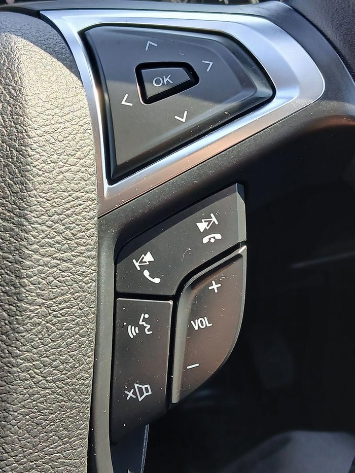 2019 Ford Endura Trend