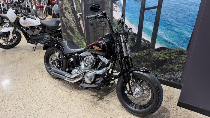 2009 Harley-Davidson Cross Bones 96 (FLSTSB)