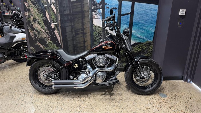 2009 Harley-Davidson Cross Bones 96 (FLSTSB)