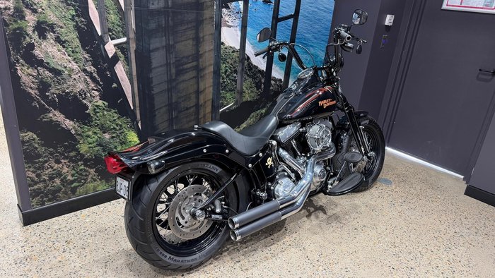 2009 Harley-Davidson Cross Bones 96 (FLSTSB)