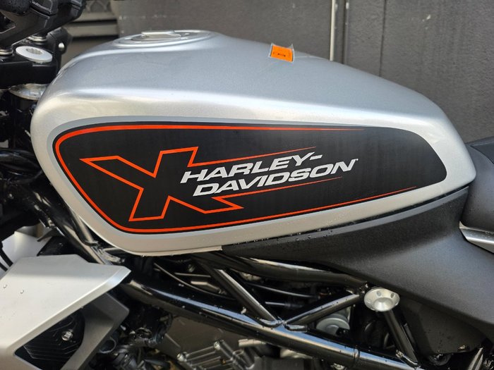 2024 HARLEY-DAVIDSON HD350-10 H-DX X350 SILVER