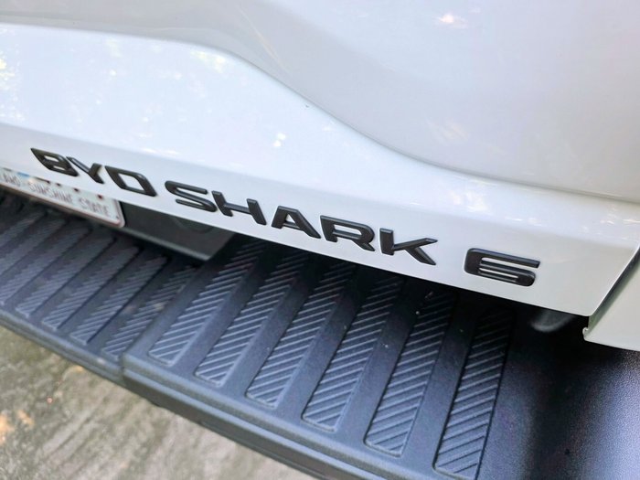 2025 BYD Shark 6