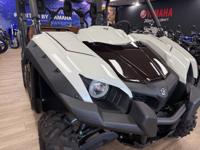 2025 Yamaha YXM700PSES LIGHT GREENISH GRAY METALLIC