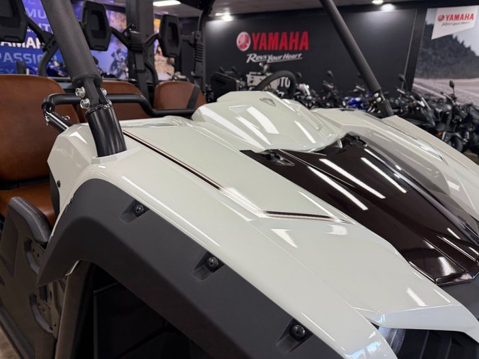 2025 Yamaha YXM700PSES LIGHT GREENISH GRAY METALLIC