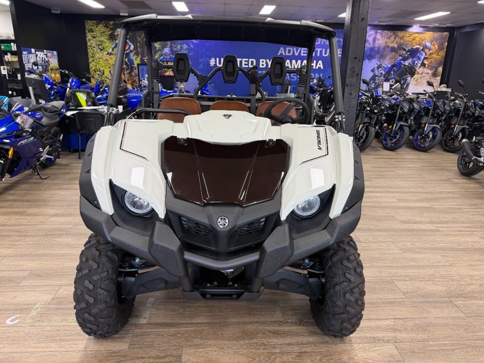 2025 Yamaha YXM700PSES LIGHT GREENISH GRAY METALLIC