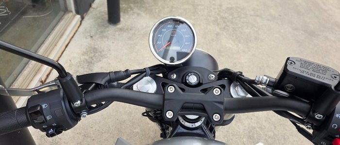 2024 HARLEY-DAVIDSON HD350-10 H-DX X350 SILVER