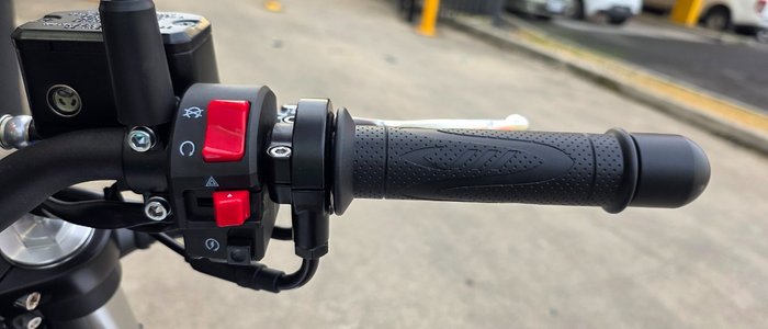 2024 HARLEY-DAVIDSON HD350-10 H-DX X350 SILVER