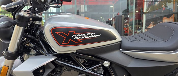 2024 HARLEY-DAVIDSON HD350-10 H-DX X350 SILVER