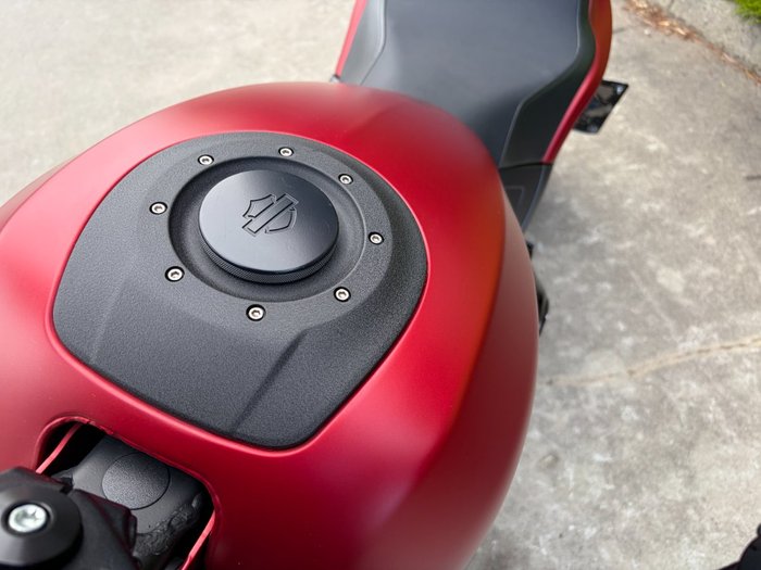 2019 HARLEY-DAVIDSON FXDRS FXDR (114) Red