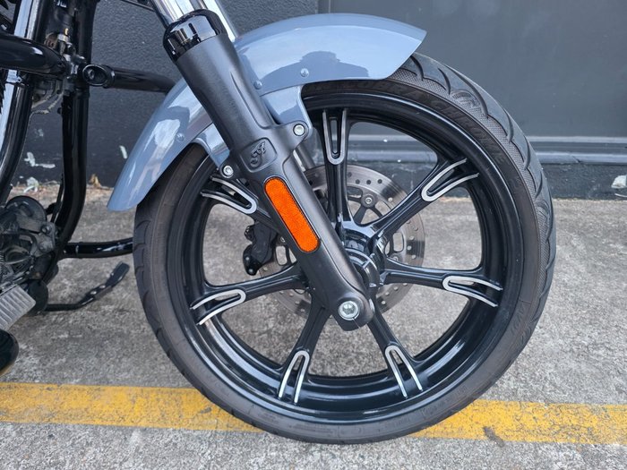 2022 Indian CHIEF DARK HORSE GREY