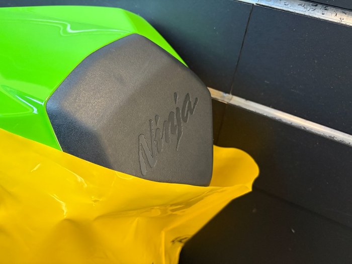 2025 Kawasaki NINJA ZX-10R Green