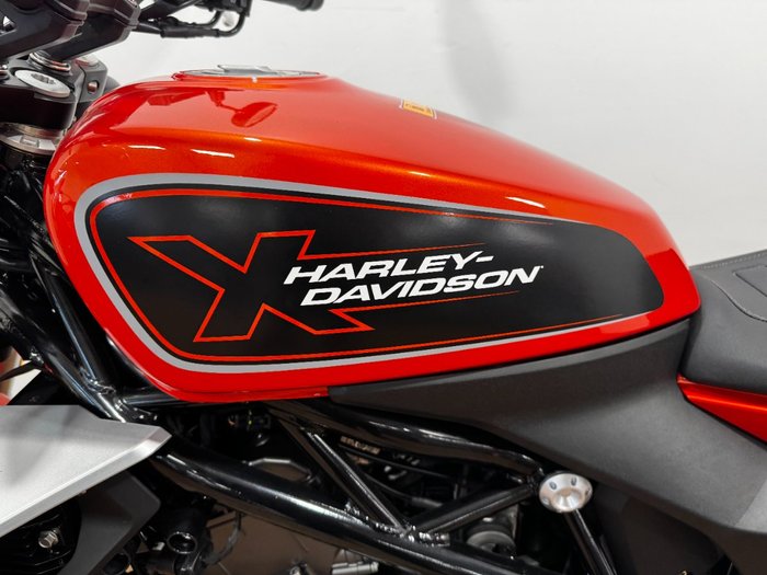 2024 Harley-Davidson HD350-10 H-DX X350 SILVER