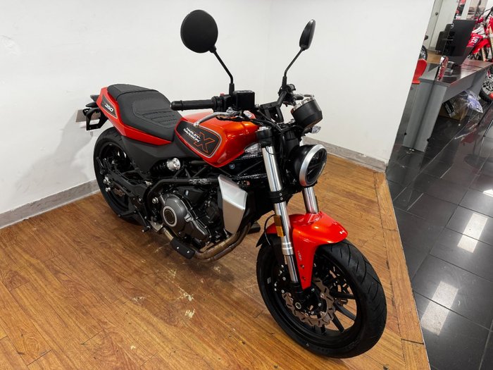 2024 Harley-Davidson HD350-10 H-DX X350 SILVER