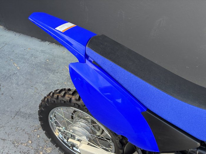 2025 Yamaha TTR125LWE BLUE