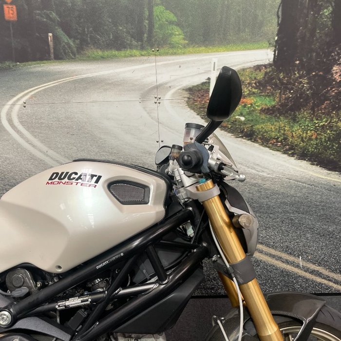 2009 DUCATI MONSTER 1100 S White