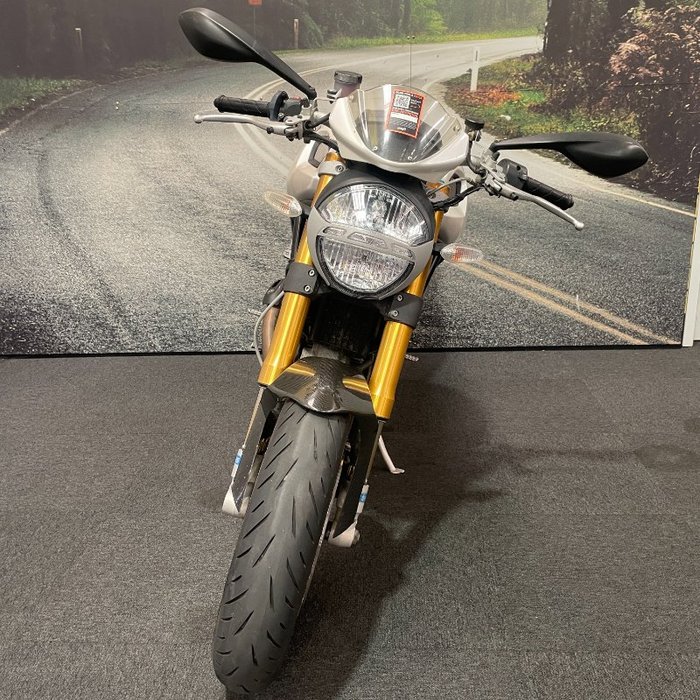 2009 DUCATI MONSTER 1100 S White
