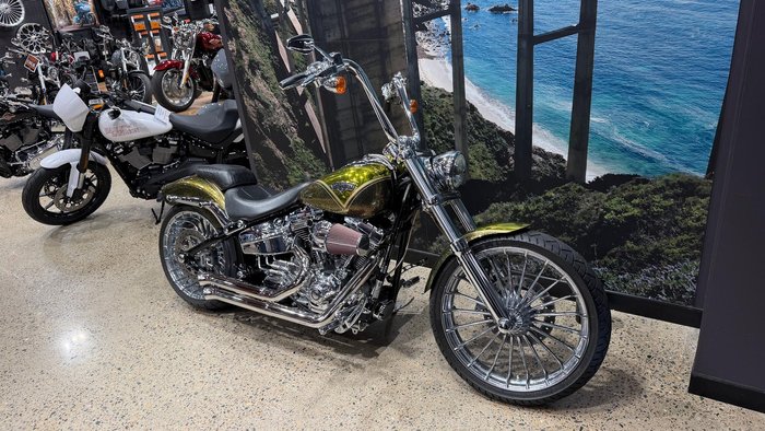 2013 Harley-Davidson CVO Breakout (FXSBSE)