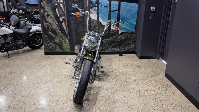 2013 Harley-Davidson CVO Breakout (FXSBSE) CVO Gold