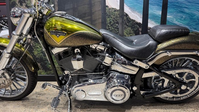 2013 Harley-Davidson CVO Breakout (FXSBSE) CVO Gold