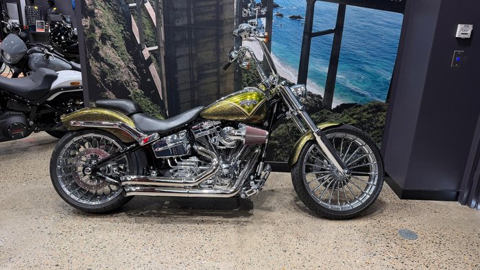 Harley-Davidson CVO Breakout (FXSBSE) CVO