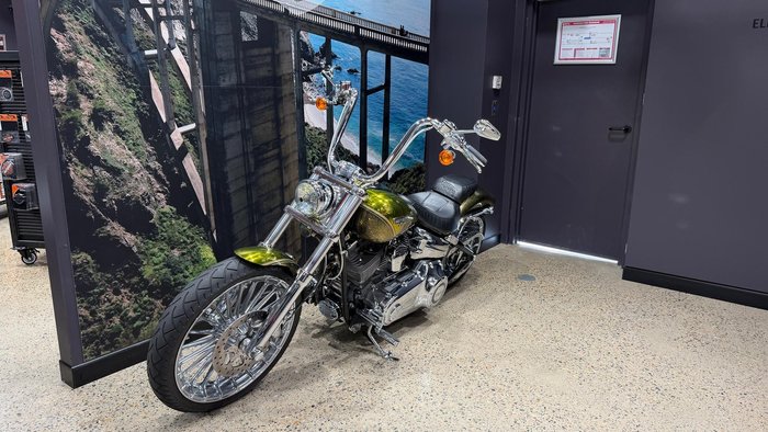 2013 Harley-Davidson CVO Breakout (FXSBSE) CVO Gold