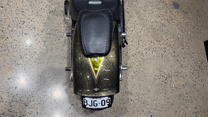 2013 Harley-Davidson CVO Breakout (FXSBSE) CVO Gold