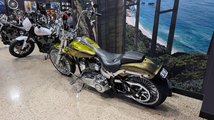 2013 Harley-Davidson CVO Breakout (FXSBSE) CVO Gold