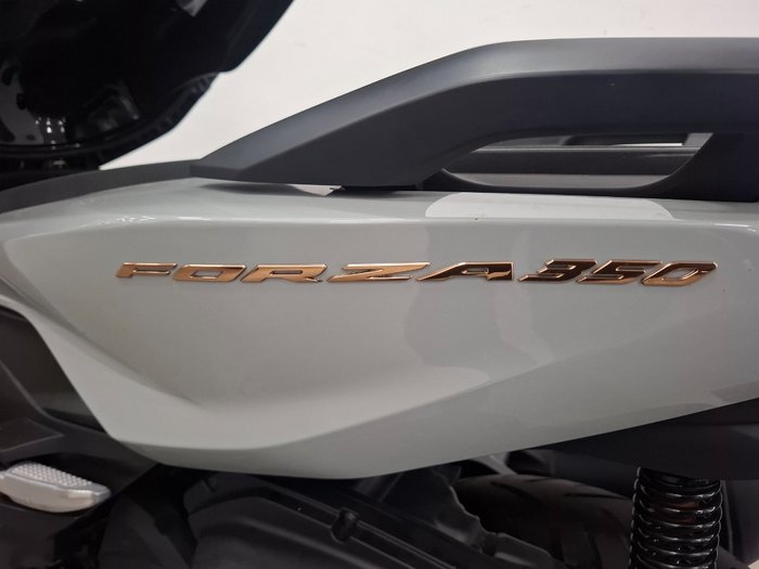2023 Honda FORZA 350 (NSS350A) Grey