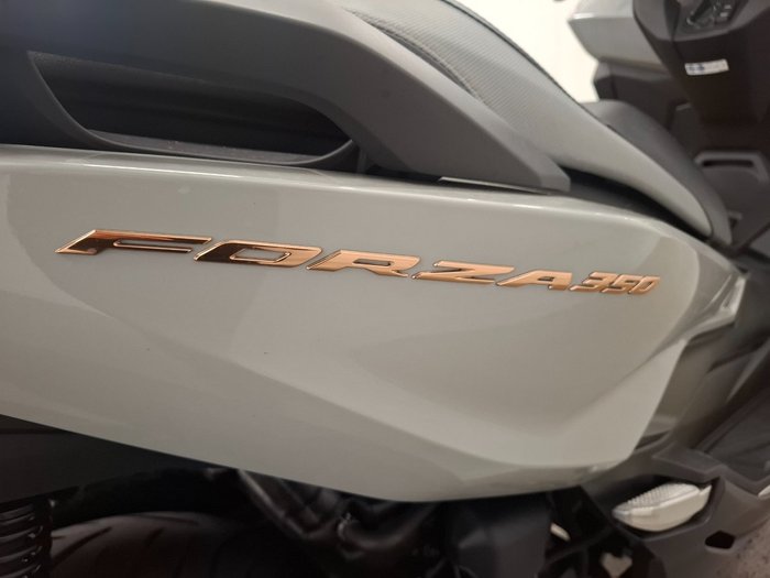 2023 Honda FORZA 350 (NSS350A) Grey